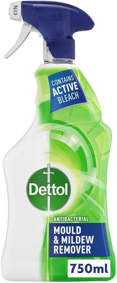 Dettol Antibacterial Mould & Mildew Remover Spray 750ml