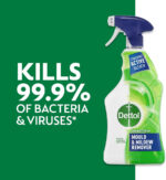 Dettol Mould Remover, Mould and Mildew Cleaning Spray, 750 ml - Image 10