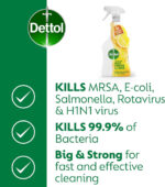Dettol Power and Fresh Citrus Multi-Purpose Cleaner, 1 Litre - Image 9