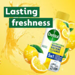 Dettol Lemon Breeze Washing Machine Cleaner, 250 ml, Pack of 3 - Image 2
