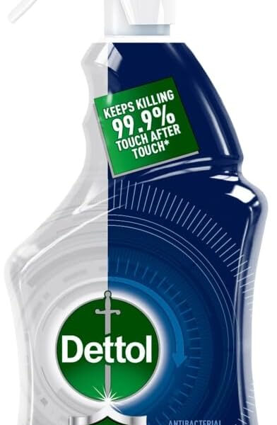 Dettol Protect 24 Trigger 460ml