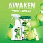 Dettol Antibacterial Multi-Surface Wipes, Plant-Based, Crisp Pear Scent, 6 X 50 - Image 6