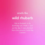 Method Floor Cleaner, Wild Rhubarb, 739 ml - Image 7