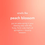 Method Antibacterial Spray, All Purpose Cleaner, Peach Blossom, 828 ml - Image 3