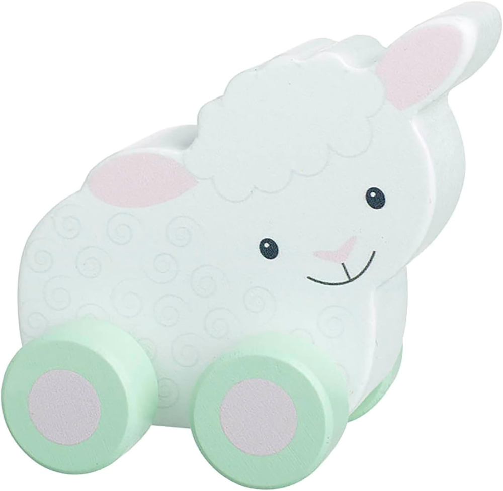 Orange Tree Toys OTT07627 Wooden Push Toy, Multicolour