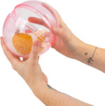 Running Hamster - Image 8