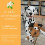 Aromadog Rescue Stuffingless Flattie Dog Toy 54cm – Scented Calming Plush with Therapeutic Essential Oils, Soft Soothing Toy with Squeaker, Stress and Anxiety Relief for Dogs - Image 6