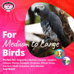 Super Bird Creations SB751 Foraging Puzzle Toy for Parrots, Conures, African Greys - Bird Feeder, Enrichment Activity, Versatile Forager for Mental Stimulation - Durable PVC - Medium/Large, 3”x5”x8 - Image 7