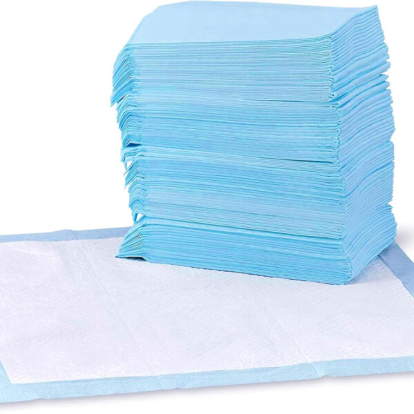 Amazon Basics Dog and Puppy Training Pads, Leakproof, 5-Layer Design with Quick-Dry Surface, Regular, Blue,Pack of 100