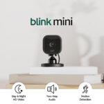 Blink Mini | Indoor plug-in pet security camera, 1080p HD day and night video, motion detection, two-way audio, easy setup, Alexa enabled — 1 camera (Black)