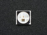 Adafruit Accessories NeoPixel Mini 3535 RGB LEDs - Black