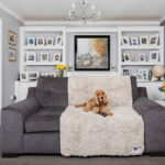 Pet Rebellion Comfy Cover 100cm x 170cm, in 2 Options - Image 4