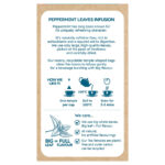 Cafe Tea 100% Peppermint Leaves Teabags, 240 Pack - Image 5
