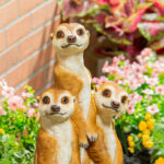 Evergreen Meerkat Statue - Image 7