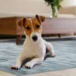 Wyatt & Ash Washable Area Rug in Grey, 183 x 274cm - Image 15