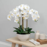 Artificial Orchid in Ceramic Pot in White - Image 26