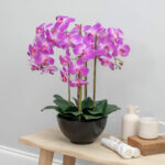 Artificial Orchid in Ceramic Pot in White - Image 27